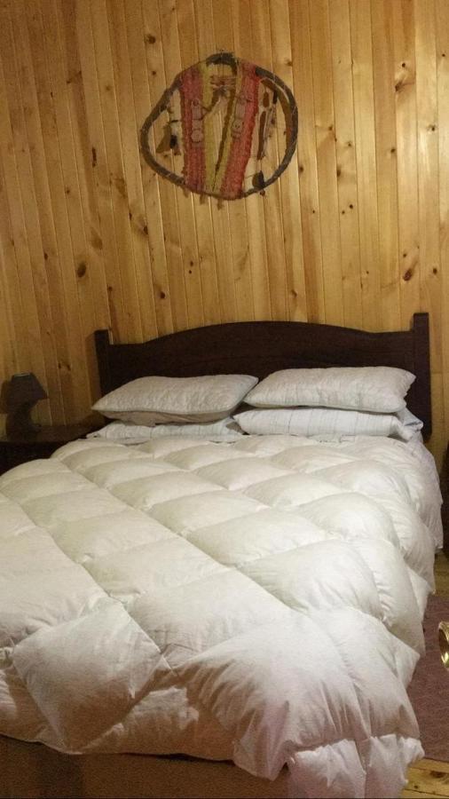 Cabanas Trabunco Pucon Bagian luar foto